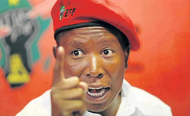 Julius Malema calls for alcohol to be banned again