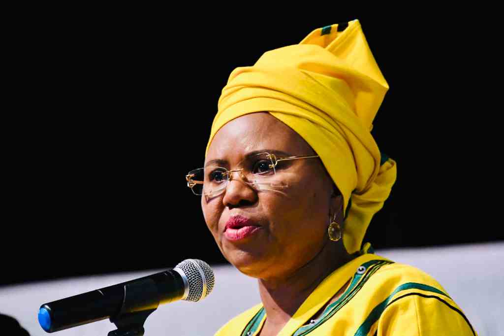 Lindiwe Zulu denies involvement in Sassa water cannon incident