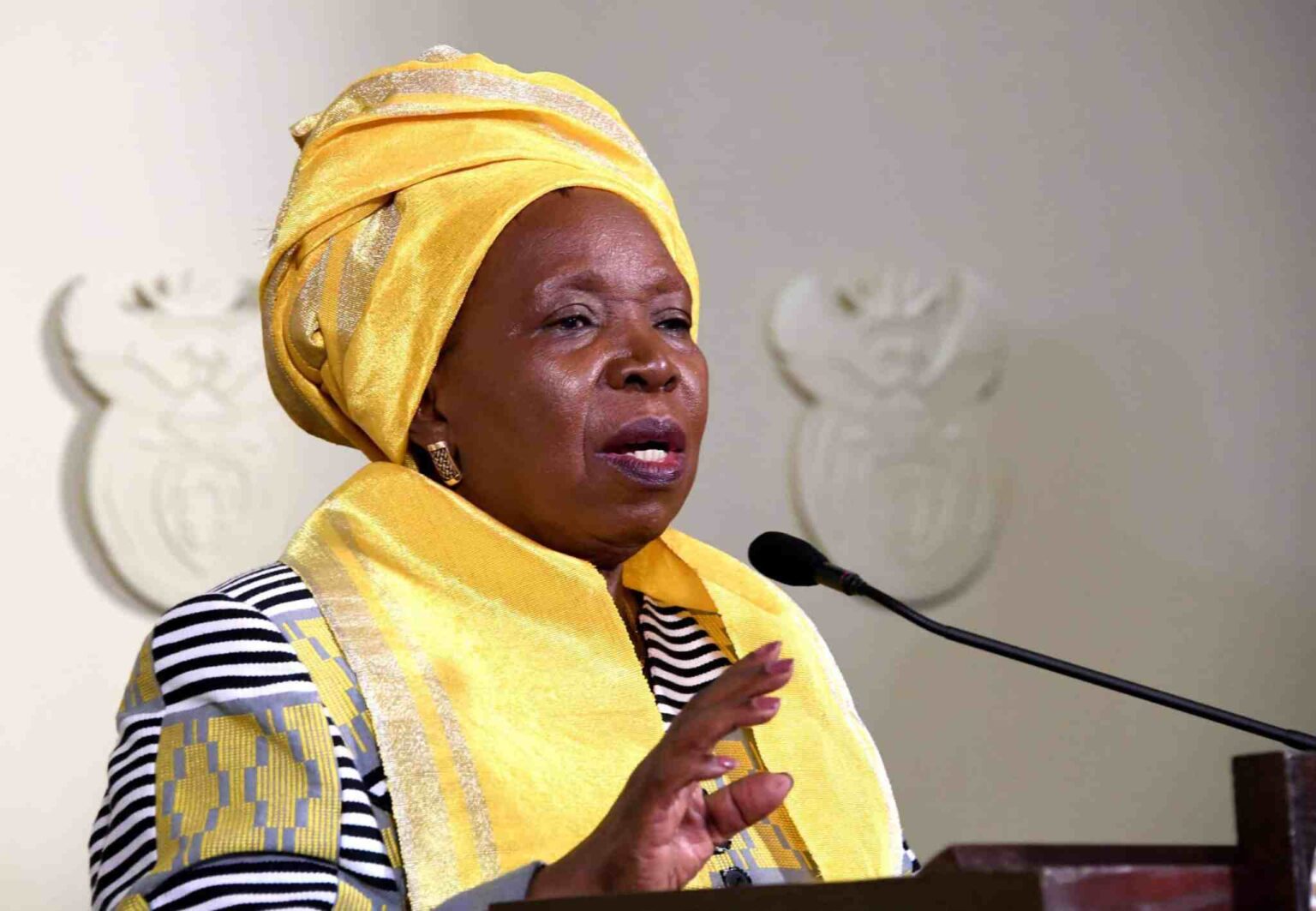 Minister Nkosazana Dlamini-Zuma Extends The State Of Disaster