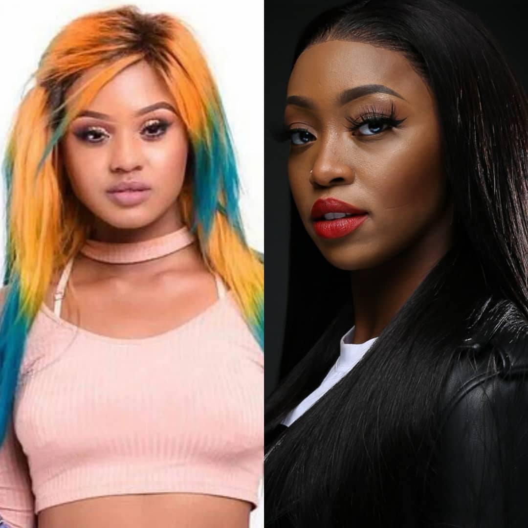 Babes Wodumo Vs Kamo Mphela divides Mzansi