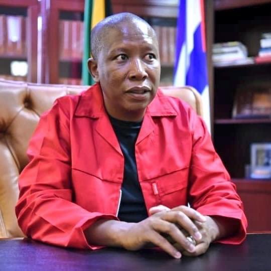EFF’s Julius Malema wants to build RDP houses in Sandton
