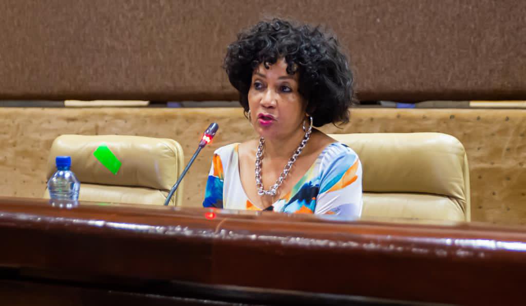 Lindiwe Sisulu’s Rapid Response Team spends R3.73 million on travel expenses – DA