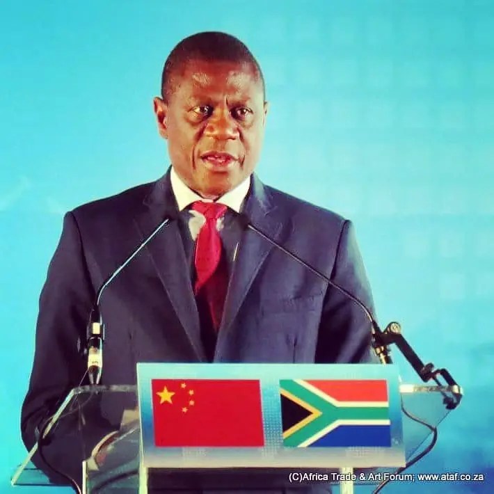 DA taking path of inequality and exclusion, says Mashatile