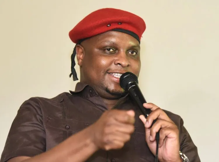 Floyd Shivambu: Ramaphosa’s removal will not throw SA into disarray