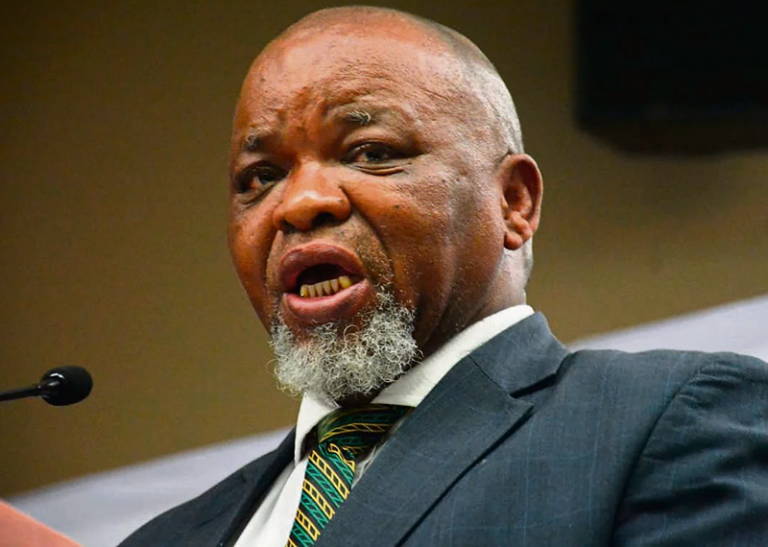ANC’s Gwede Mantashe hits back at critics who say he’s too old for politics