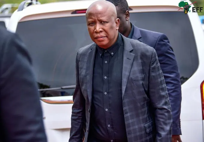 Julius Malema in hot soup for fighting Ramaphosa