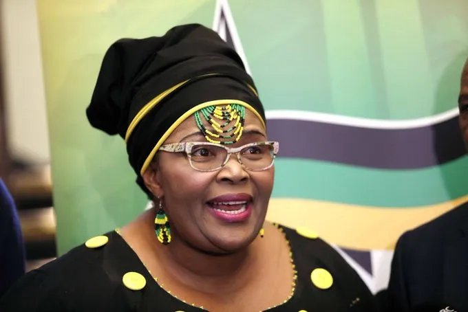 ANC Chief Whip Majodina says there’s no reason to panic over Ramaphosa farm theft