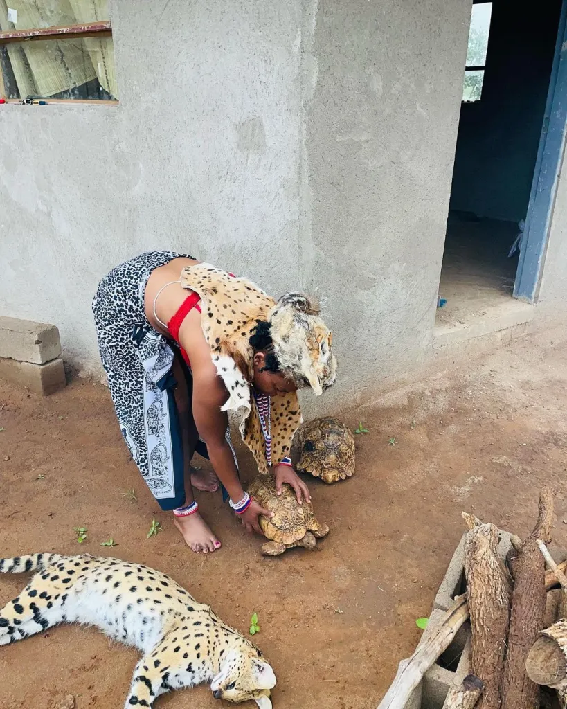 Zodwa Wabantu shows off her tortoise collection for Sangoma Calling