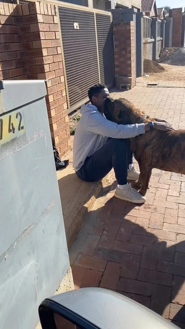 RIP: Samthing Soweto loses his dog – Video