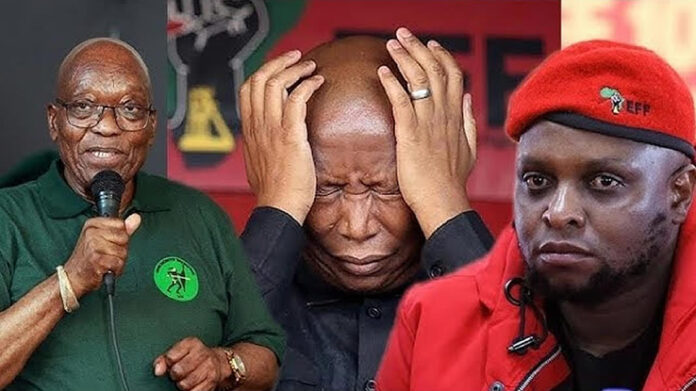 Massive reward for Floyd Shivambu from Jacob Zuma's MK Party for dumping Julius Malema's EFF